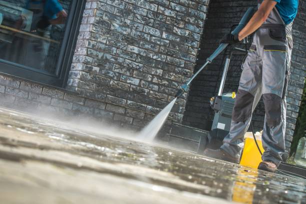 Best Driveway Pressure Washing  in Juno Beach, FL