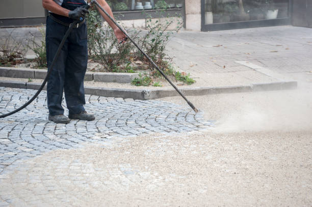 Best Animal Enclosure Cleaning  in Juno Beach, FL
